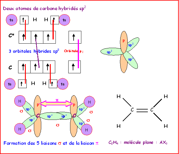 Le Carbone trigonal ou carbone sp2 — free download